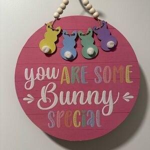 You Are Some Bunny Special Wall Sign